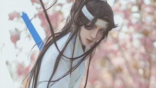 【The Patriarch of Demon Dao】【Lan Sizhui】The heart and gallbladder in the sword