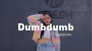 【糖糖翻跳】Dumbdumb—全昭弥Somi