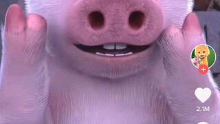 cute dancing pig