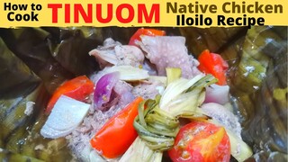 TINUOM Native Chicken | Cabatuan ILOILO | ILONGGO Recipe Bisayang MANOK