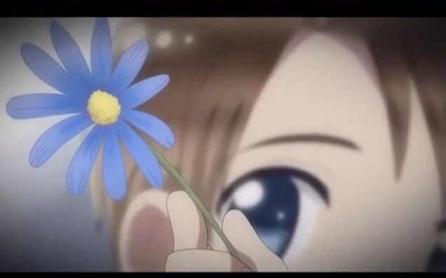 【APH】ดอกไม้ชั่วคราว | ดอกไม้สีฟ้า | เนื้อเพลง