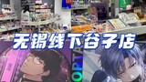 Wuxi offline millet store visit vlog