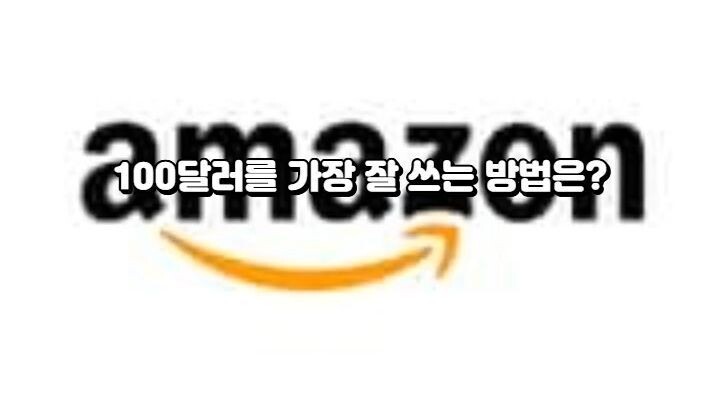 100달러를 가장 잘쓰는 방법은