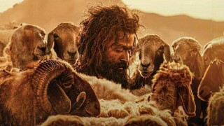 Aadujeevitham – The Goat Life (2024) Dual Audio [Hindi ORG & Malayalam] WEB-DL 480p, 720p & 1080p
