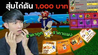 สุ่มไก่ตัน ราคาถูก 1฿ VS ราคาแพง 1000฿ จะโหดแค่ไหน!? | Blox Fruits Roblox