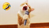 Funny Pets singing with their owners -  Funny and cute animal Videos