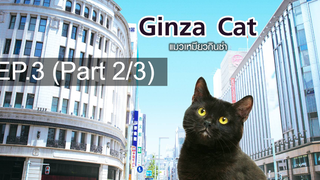 แนะนำ 😍 GINZA CAT แมวเหมียวกินซ่า ⭐ พากย์ไทย EP3_2