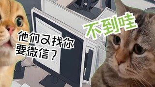 猫meme丨女客服的成长指南