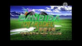 Candida ( Remix ) 140bpm