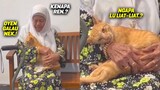 GEMES BANGET.! Diluar Bar-bar, Didepan Nenek Minta Dimanja - Video Kucing Oren Lucu Bar-bar