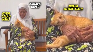 GEMES BANGET.! Diluar Bar-bar, Didepan Nenek Minta Dimanja - Video Kucing Oren Lucu Bar-bar