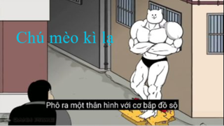 Chú mèo kì lạ