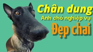 Chó nghiệp vụ diễn hài | Đặc vụ Ma