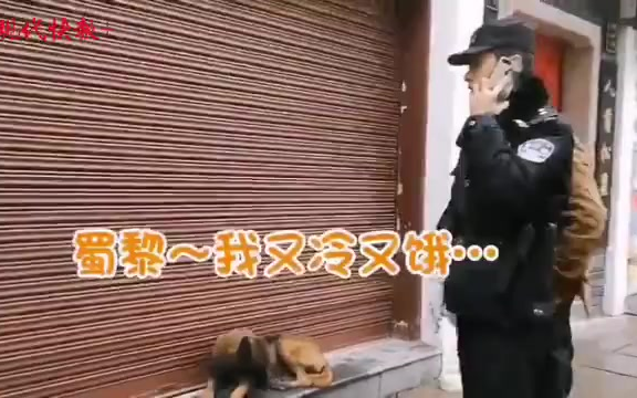 流浪犬被警方相中，逆袭成警犬！