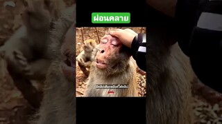 ผ่อนคลาย