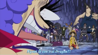 Siêu Cảm Xúc Của Mọi Người Khi Biết Luffy Là Con Của Nhà Cách Mạng Dragon