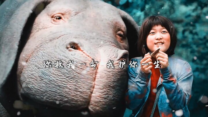 万物皆有灵，你救我一命 我护你一生。