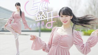 【米唐菌】与梦盛开❀Love you so much！【BDF2021】