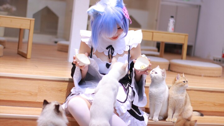 วันนี้คือ Rem Maid Nya~