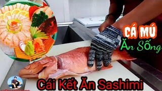 Cá Mú Đỏ Ăn Sống Sashimi Ngon Nhức Nách|| Món Ngon Mỗi Ngày || Thành Đồng vlog