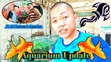 Aquarium Update ft. 1st Customer's Aquarium