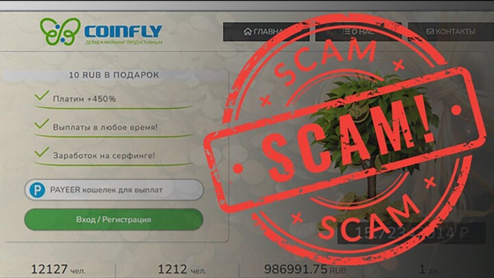 Scam website coin-fly.fun