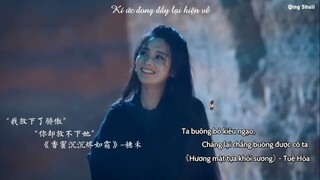 [FMV-Vietsub] Thẩm Viên Ngoại - 沈园外 || Phân cảnh ngược luyến tàn tâm trên màn ảnh Hoa Ngữ (14)