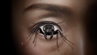 WATCH  Control Freak 2025 - Link In The Description