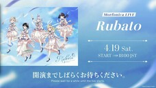 [HD] Morfonica LIVE「Rubato」