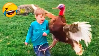 Best Funny Animal Videos 2022 🦆😁 - Funniest And Cute Cats And Dogs Videos 😇