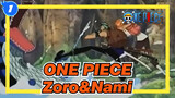 [ONE PIECE]Zoro&Nami-In me the tiger sniffs the rose_1