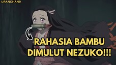 Alasan Kenapa Nezuko Selalu Menggigit Bambu dimulutnya?🤔