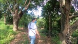 Centennial Tree in Orani Bataan Phillippines | KDRAC