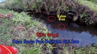 SERUNYAA.. Mancing Ikan Nila Air Jernih || BANYAK BABON KELIAHATAN BROO!!