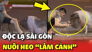 Độc lạ Sài Gòn: NUÔI HEO LÀM CẢNH không sợ đụng hàng 😂 | Yêu Lu