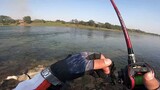Caught Big Mandarin Fish in a Small River