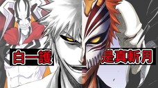 【死神Bleach】白一護解析 | 他才是真正的斬月 | 他比任何人都關心一護！