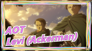 Attack on Titan | [Siksaan] Cerita Tentang Levi (Ackerman)