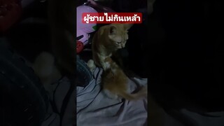 ผู้ชายไม่กินเหล้าไม่ได้แปลว่าเขาเป็นคนดี #funny #awesome #reels #คลิปตลก