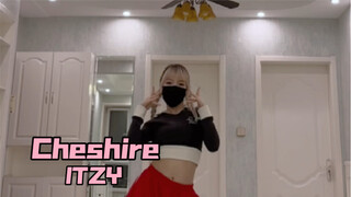 【PP】ITZY-Cheshire | 劳模一击又回归了！