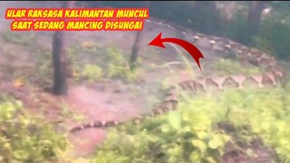 Detik-detik Pemancing Merekam Penampakan Ular Raksasa Kalimantan Di Sungai - Ular Kalimantan