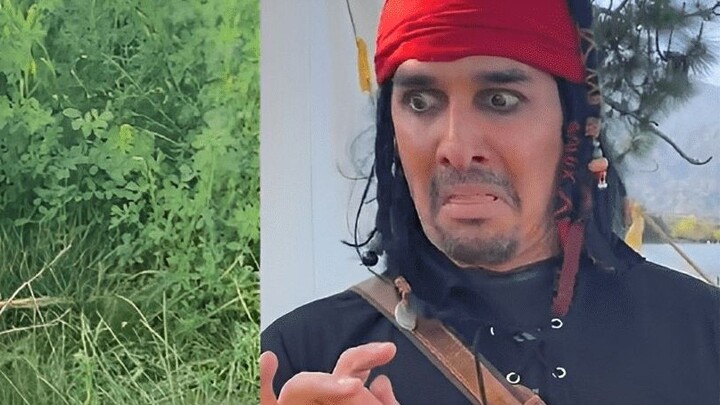 Silakan berjabat tangan dengan saya dengan karakter Anda🤝