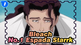 Bleach|【Starrk】No.1 Espada-Because of loneliness, soul is divided into two._1