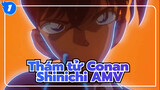 Thám tử Conan
Shinichi AMV_1