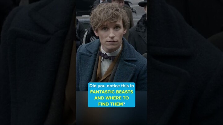 Did you notice this in FANTASTIC BEASTS AND WHERE TO FIND THEM