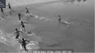 Cá mút đá man rợ part2#reviewfilm #Cutscene