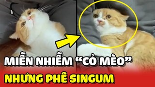 Hoàng Thượng miễn nhiễm với BẠC HÀ MÈO nhưng PHÊ trước Singum 😂 | Yêu Lu