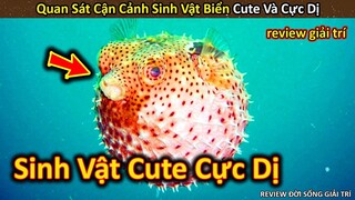 Hảo Hán Review Quan Sát Cận Cảnh Những Sinh Vật Biển Đa Dạng Cực Dị || Review Giải Trí Đời Sống