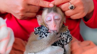 Super Relax & Refreshing!! Tiny adorable Toto feeling like in paradise when Mom gently massage her