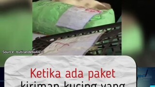 Ketika beli kocheng online trus gak pakai packing kayu😂